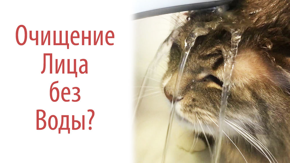 Умывание без воды или мицеллярной водой