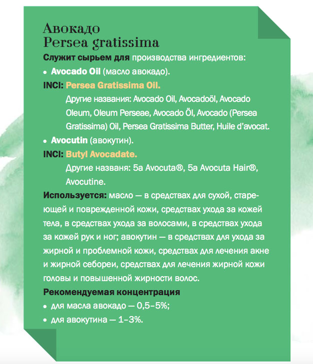 avocado-cosmetic-ingredient-kosmetologa-net